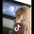向前看