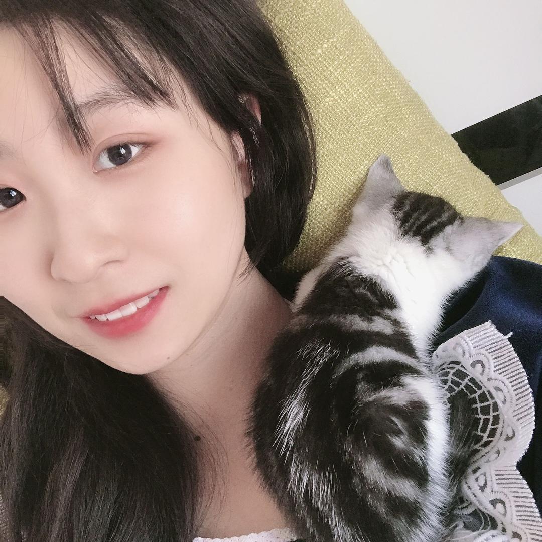 桑葚好吃吗