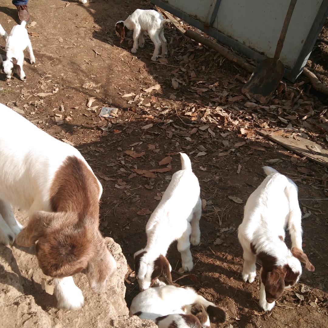 一路向北龙哥，