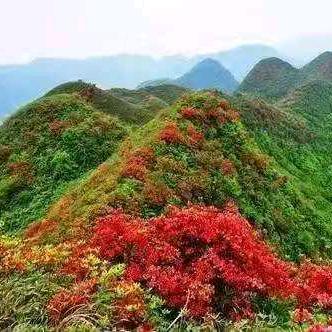 谁能理解谁能懂