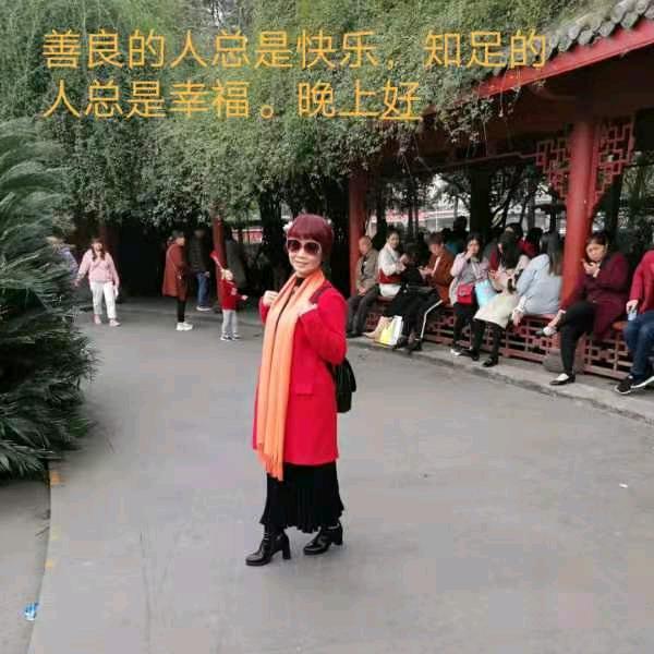 小鸟依人