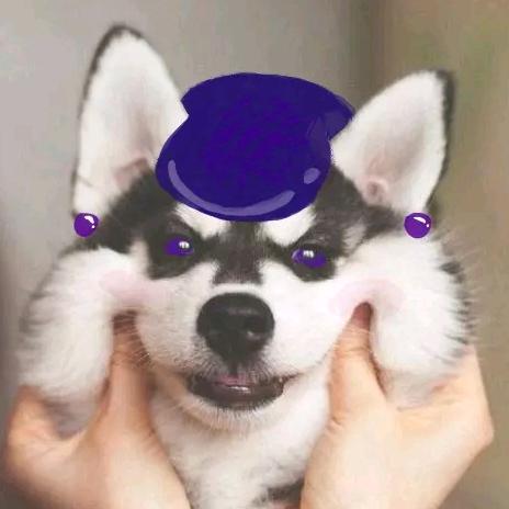 卷纸呀～（Chigiri Hyoma🍗