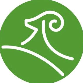 黑山羊养殖