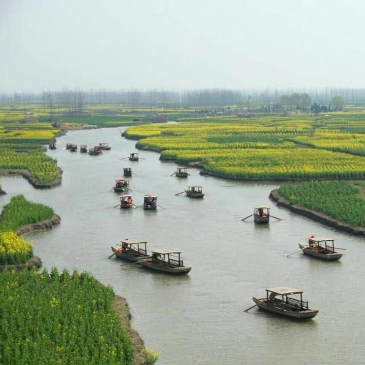 路遥知玛丽