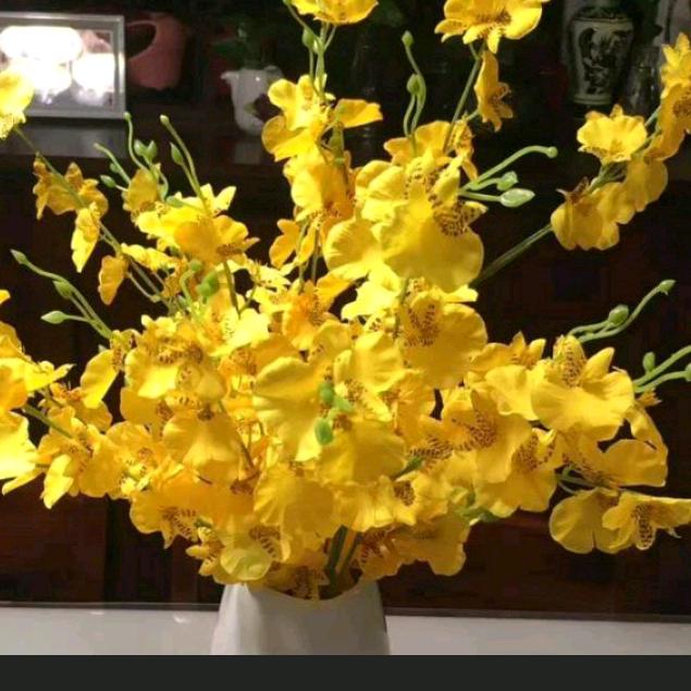 紫色烟花🎆🎆🎆