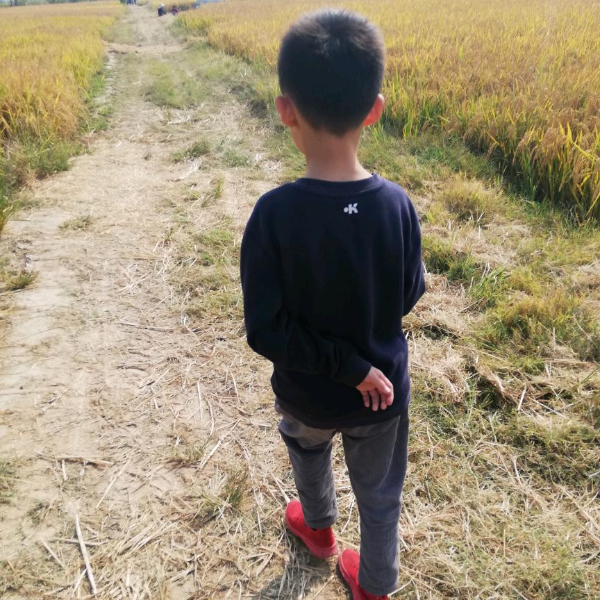 十万八千里