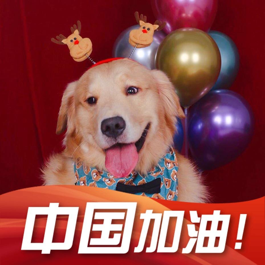 金毛大面包