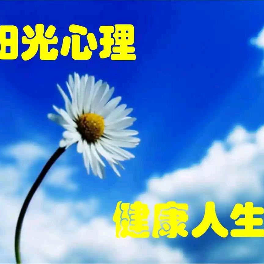 淡雅人生