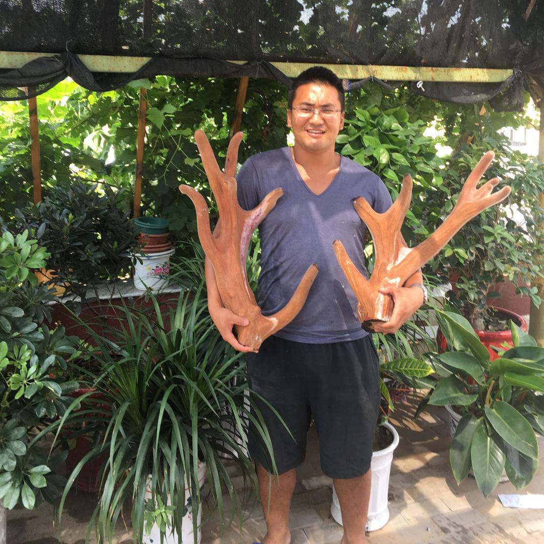 神木永兴塬梅花鹿牧业