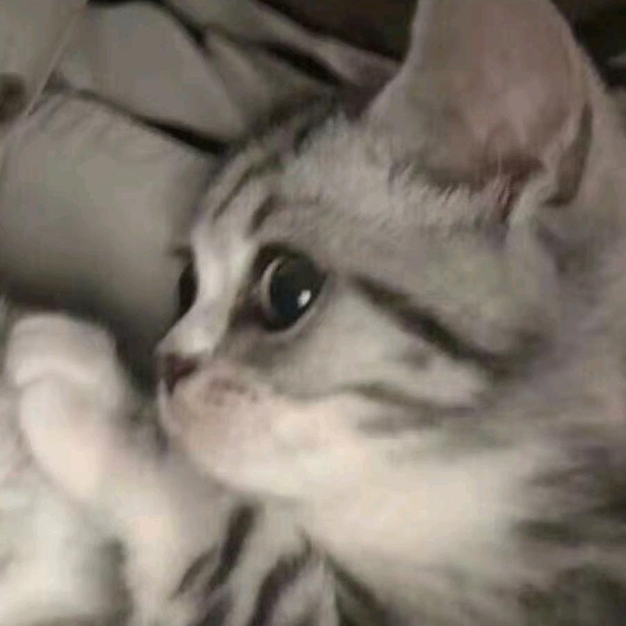 Ziva