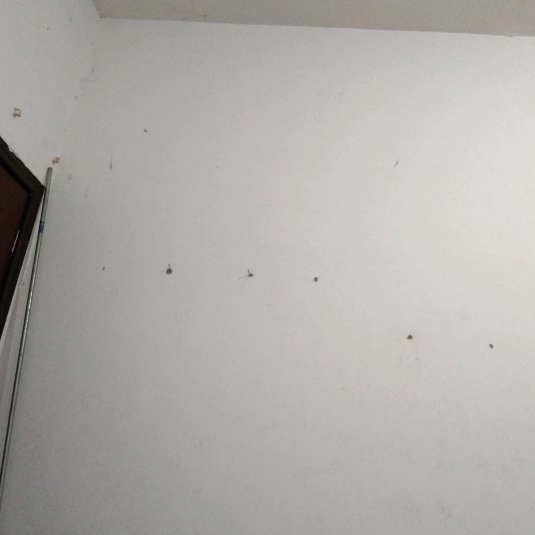 沭阳木业