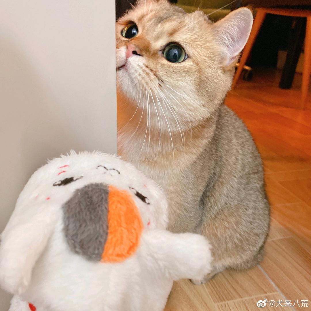 老薛