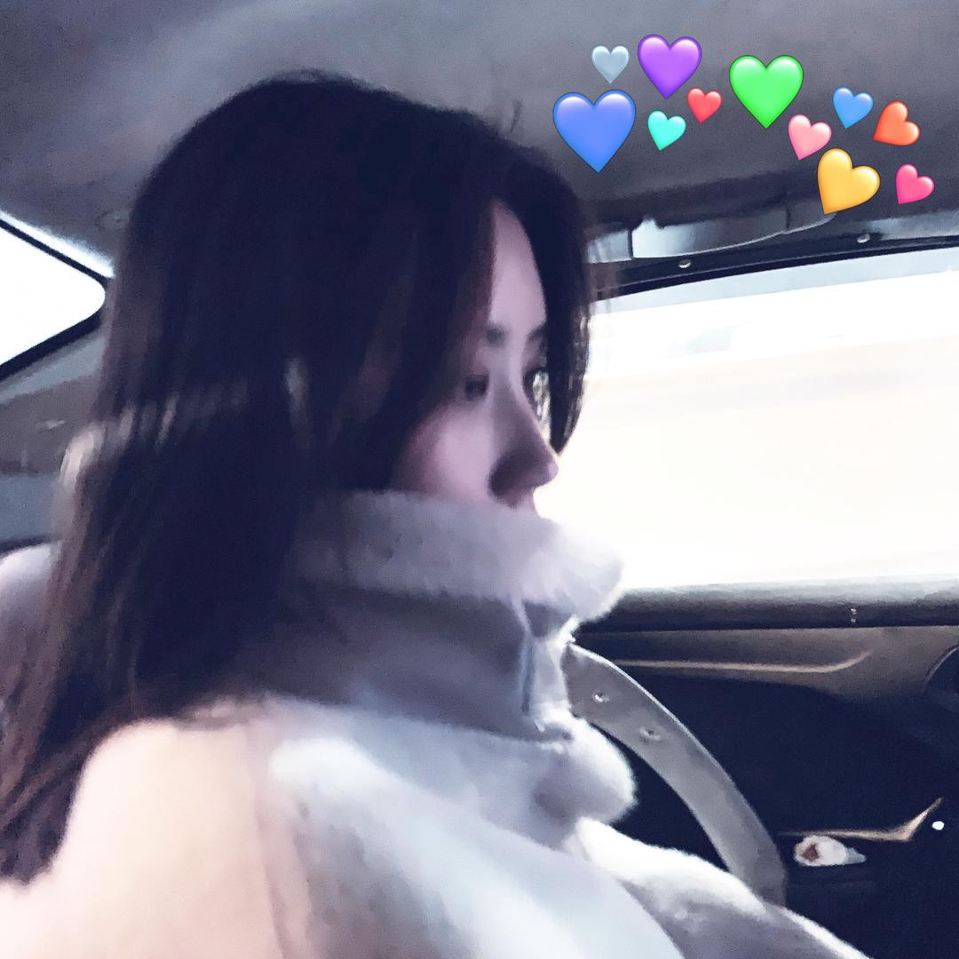 朝朝