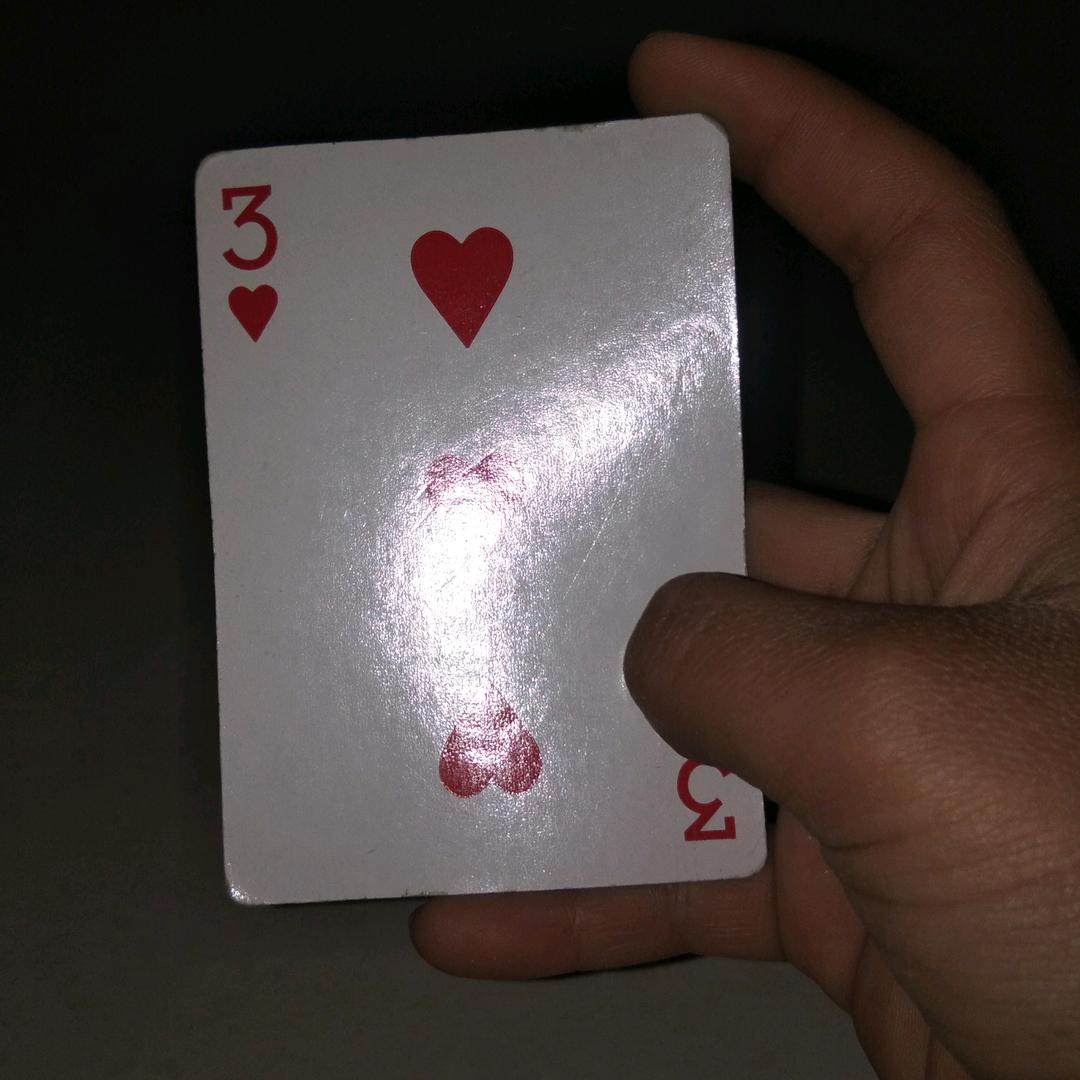 桐