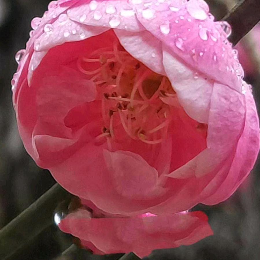 爱排吧(万达水岸天街店)