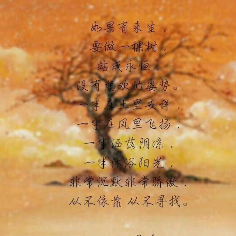@雅吖姐
