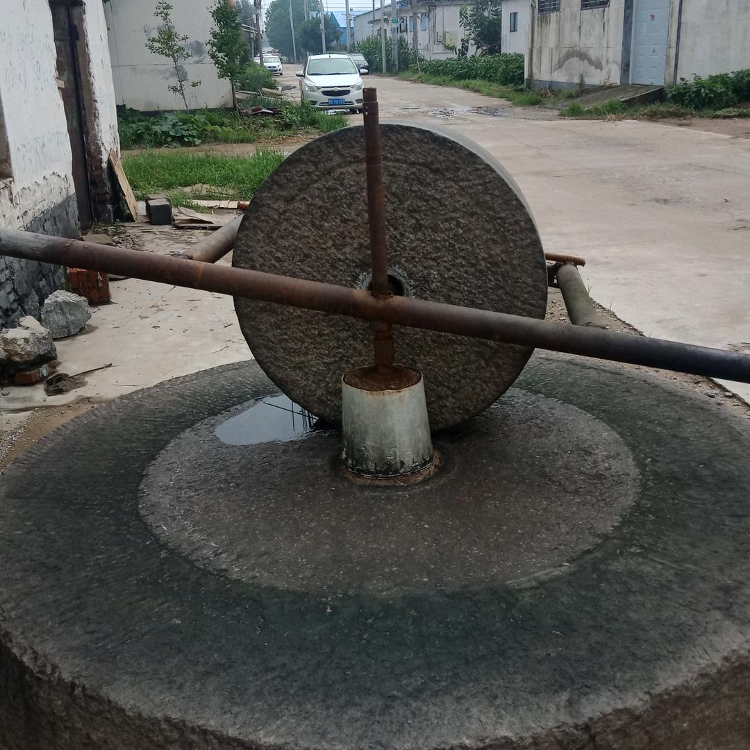 顺其 自然
