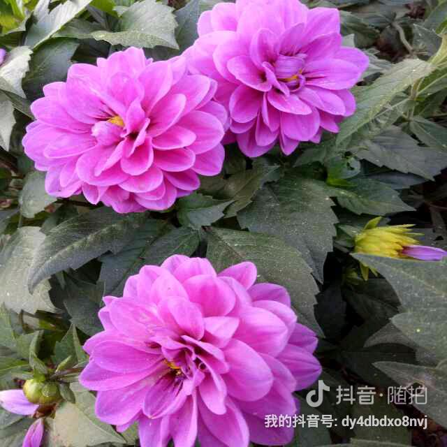 冬暖夏凉