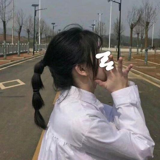 少巍