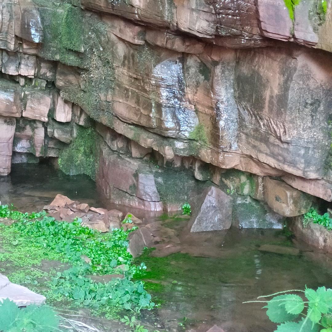 港湾