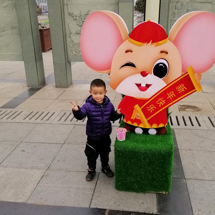 清晨的阳光