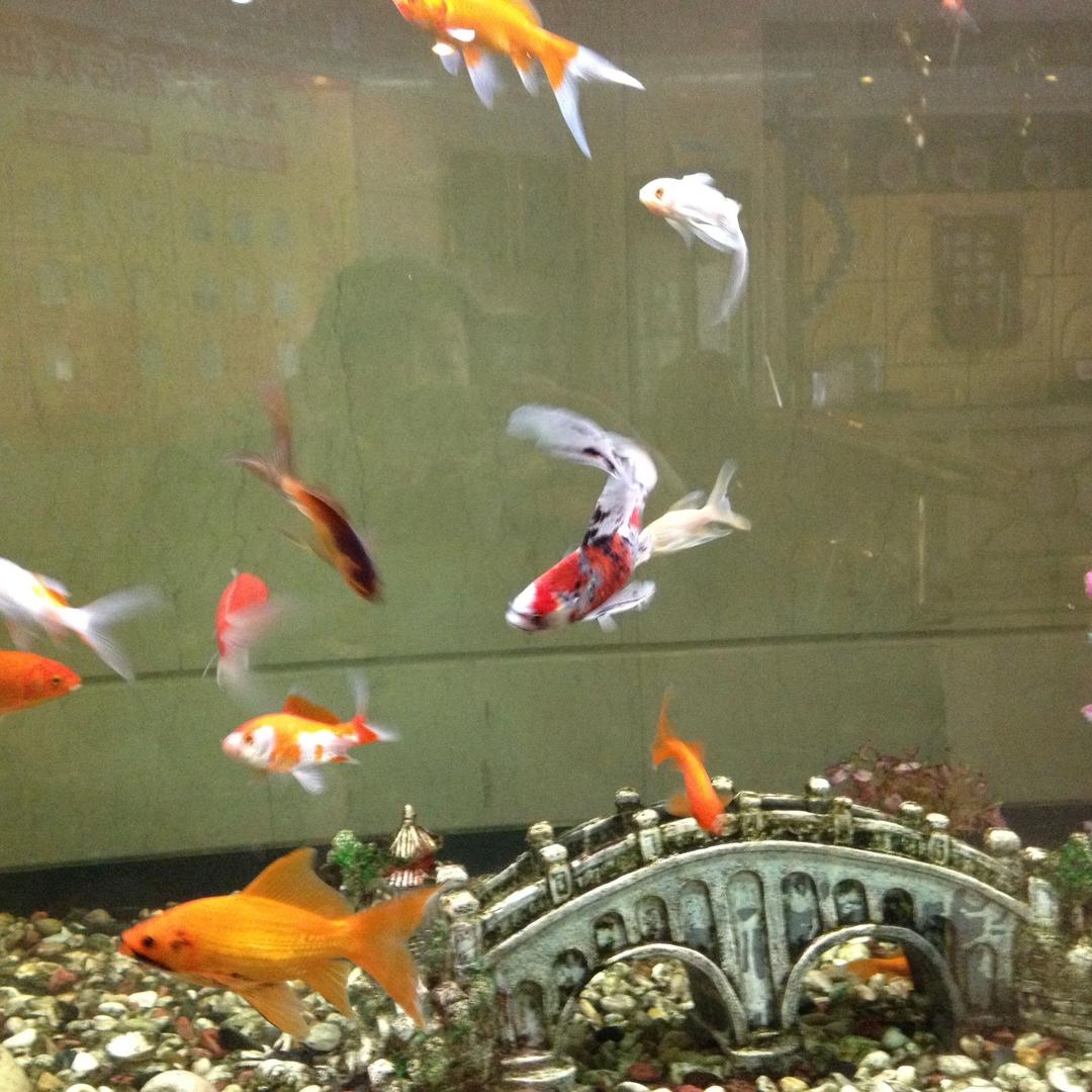 🔥抗衰逆龄 健康养生🔥