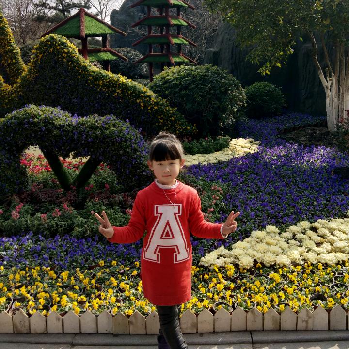 骑着蜗牛上高速