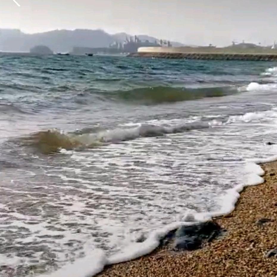 山海仙踪