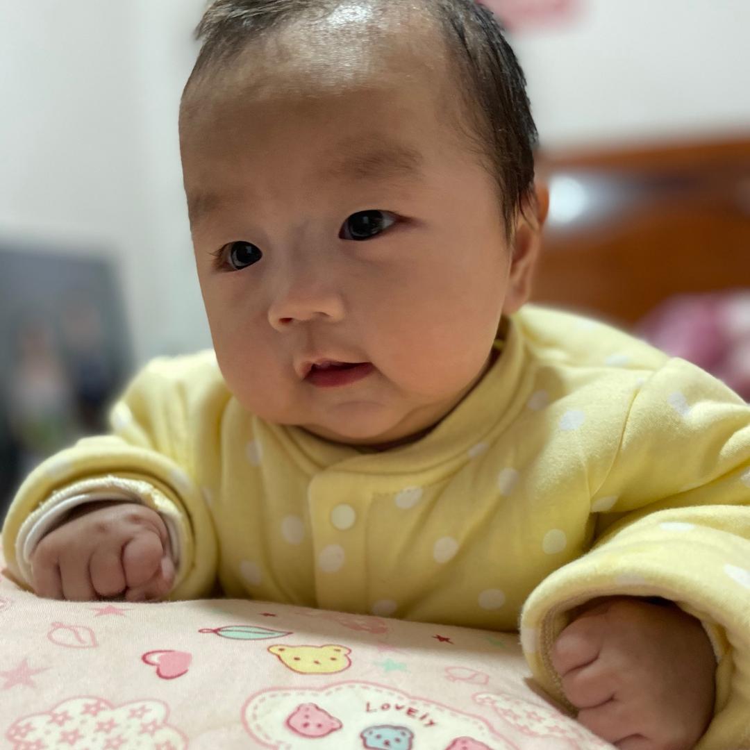 🐷柔柔猪
