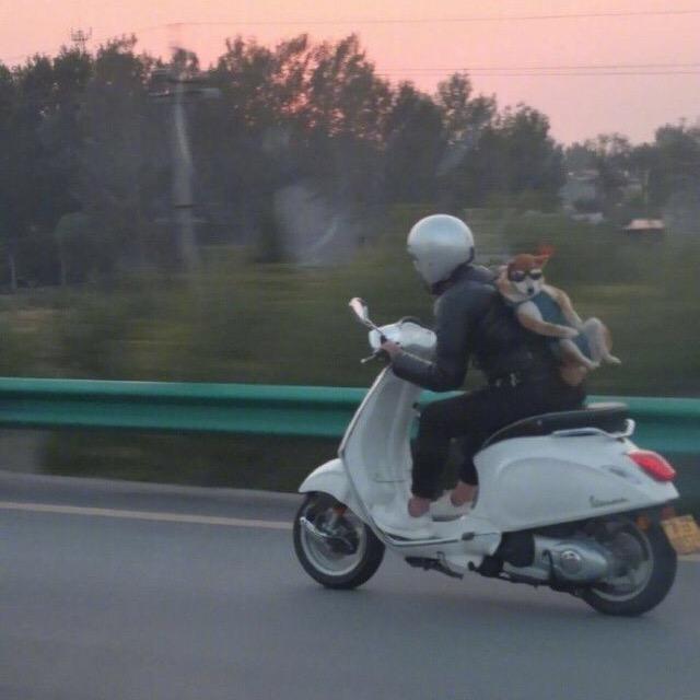 美丽郭郭的笨蛋男朋友