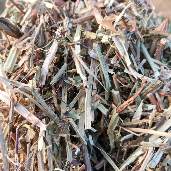 河南大地饲草-主营花生秸杆