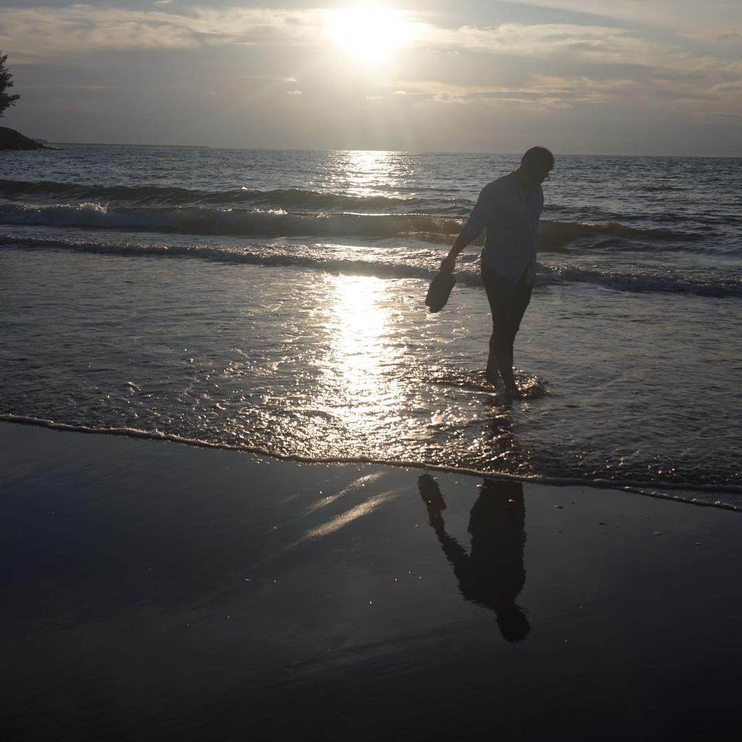 一只会飞的肥鱼