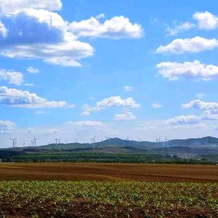 云边有个小卖部