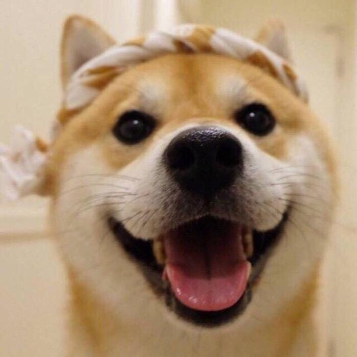 半月讲坛包老师