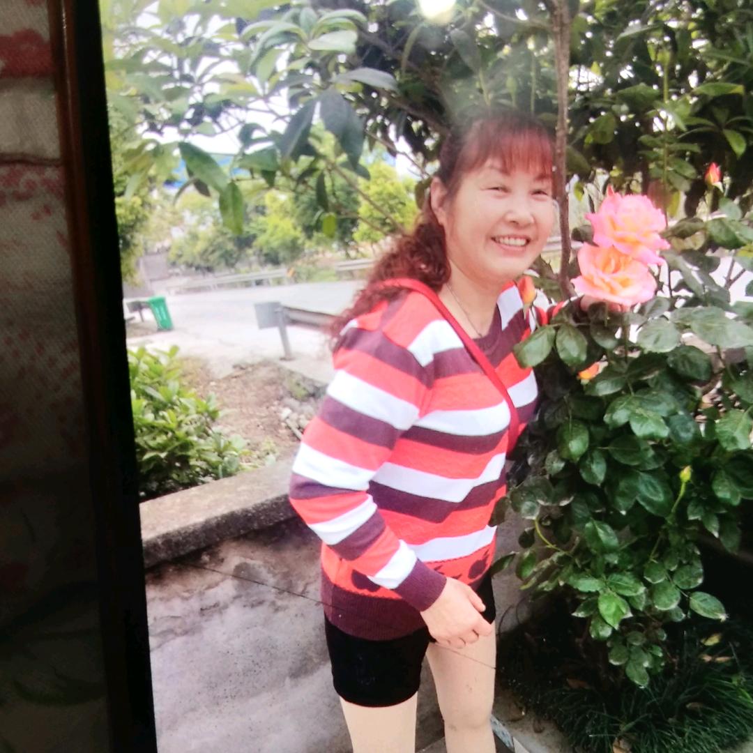 郁金香。