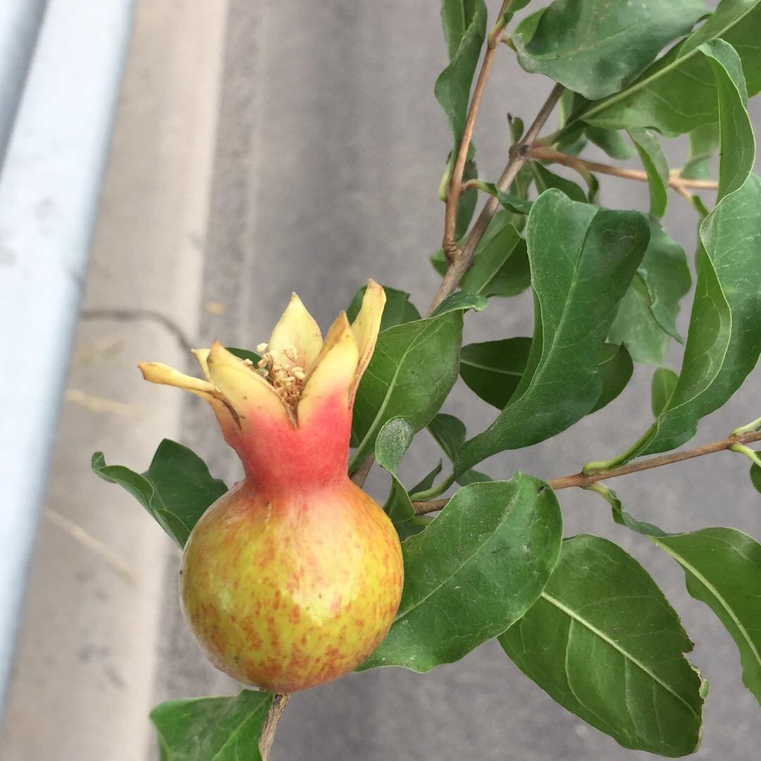 我是一个蒙福的人