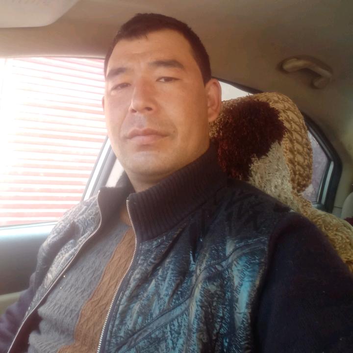 双心