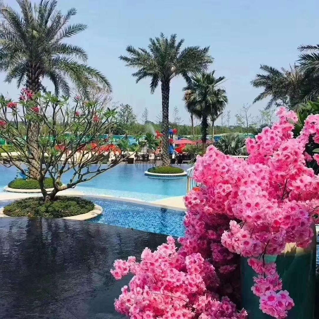 顾