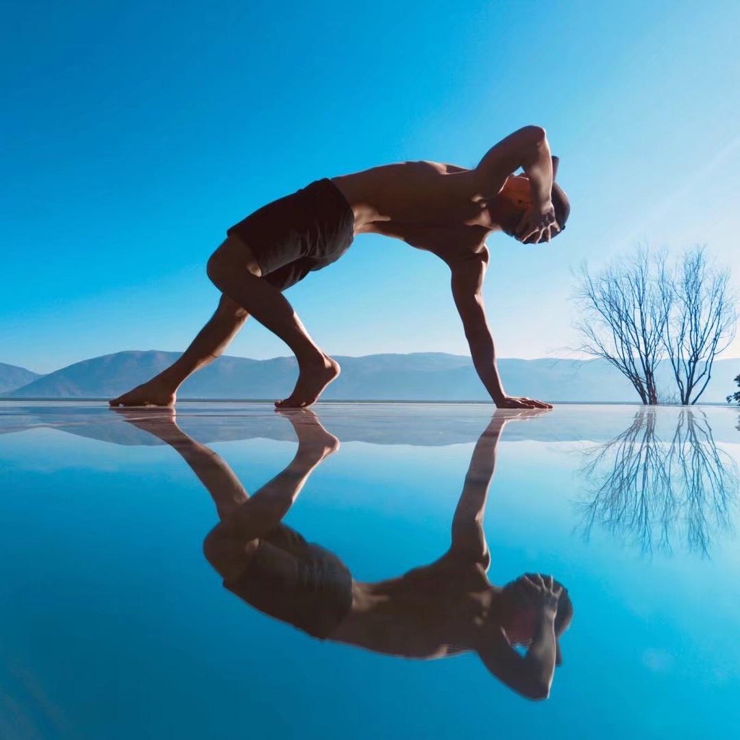 教瑜伽de丁丁猫