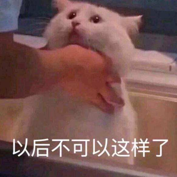 不懂懂👿