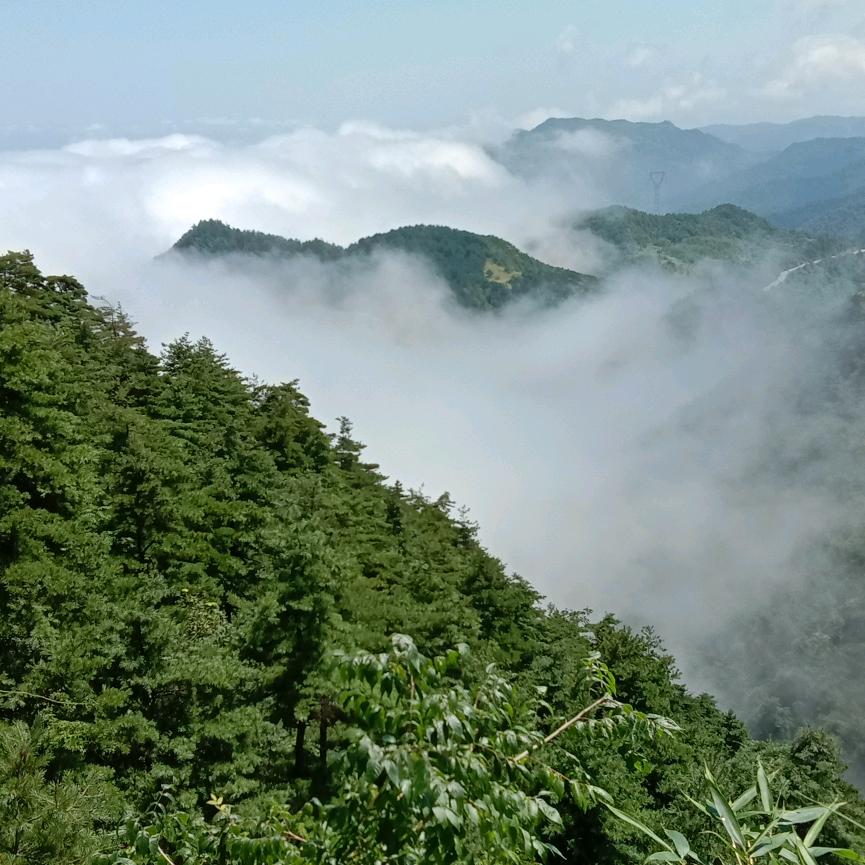 龙卷风