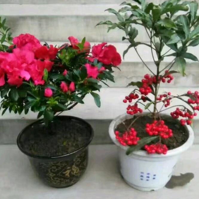 用户小志