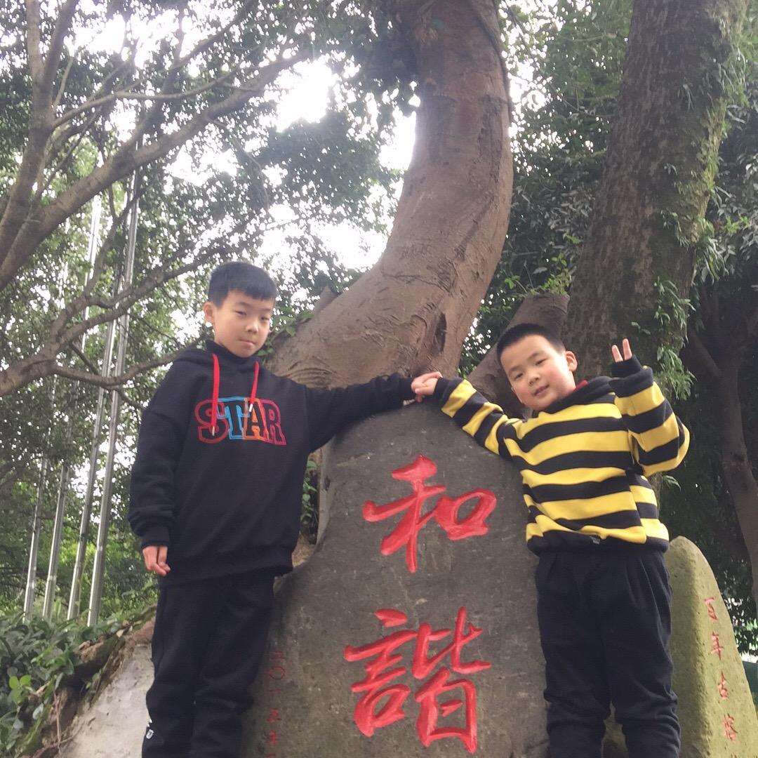 仙