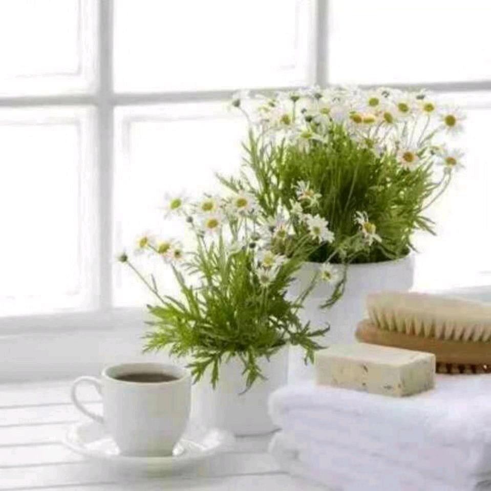 幸福平安～兰姐