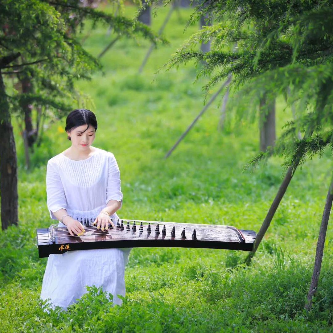 宿州古筝杨老师