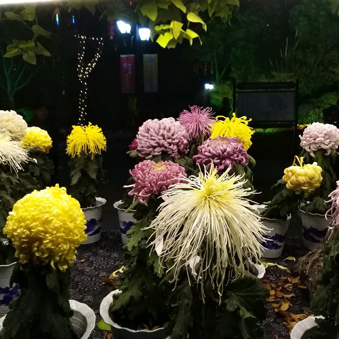 每好一天