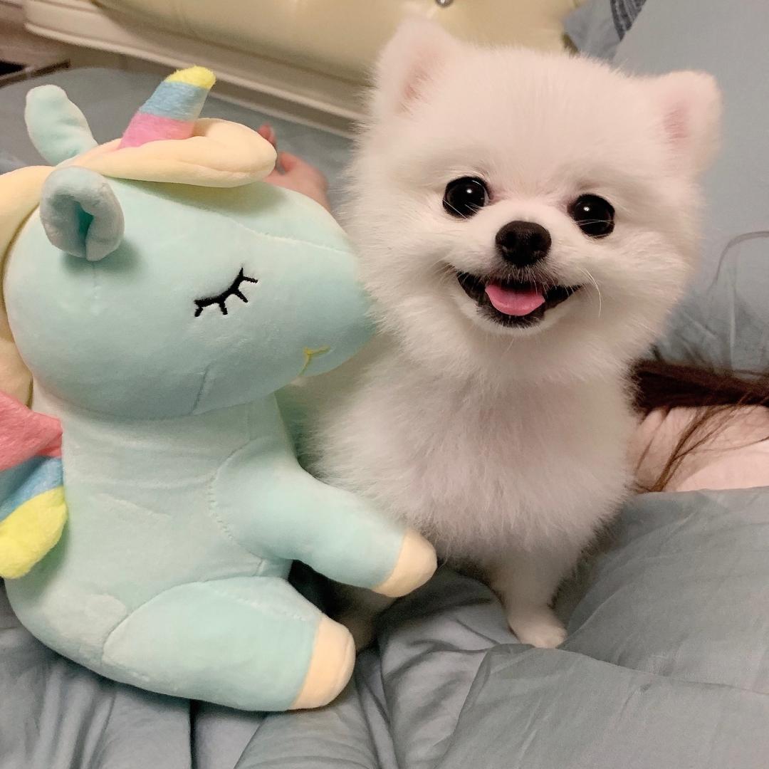 是团子哟