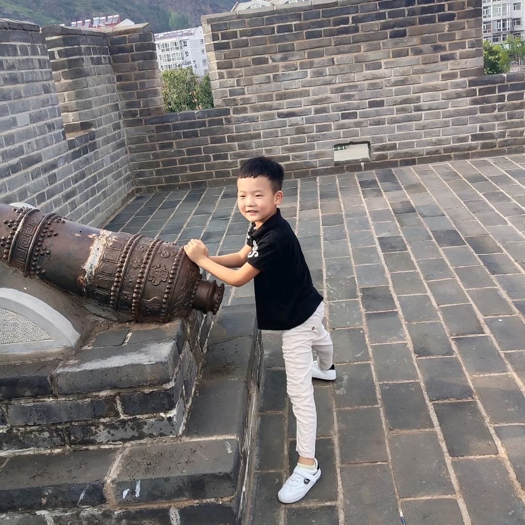 拆房捉蛐蛐，