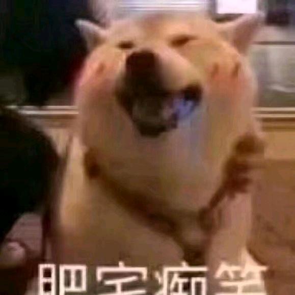 阿樱鸭🦆