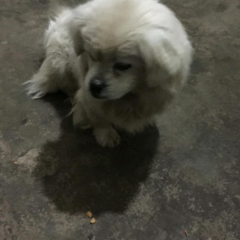 努力改变自己。